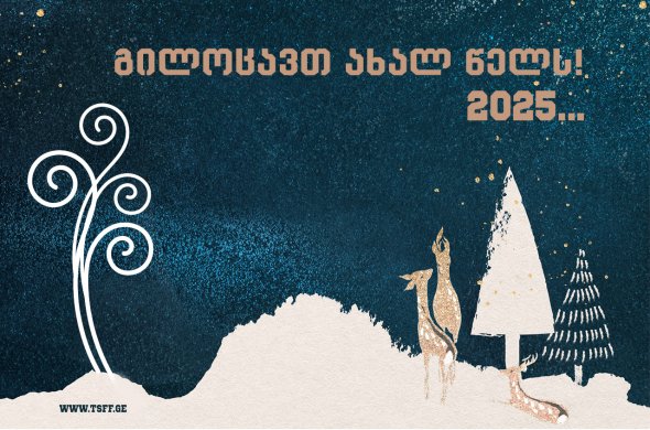 გილოცავთ ახალ, 2025 წელს!
