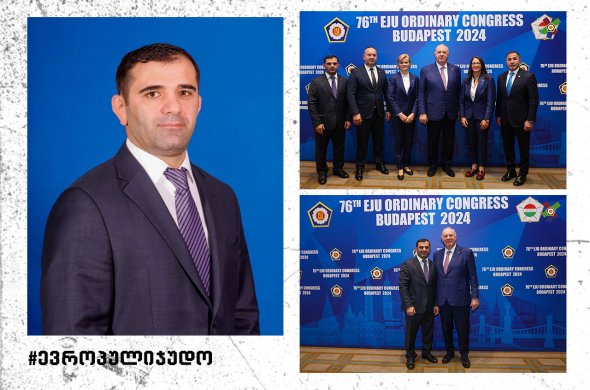 ევროპულმა ჯუდომ წელი შეაჯამა და აღმასკომში ახალი წევრებიც აირჩიეს