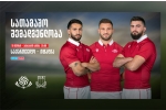 ბორჯღალოსნები, შემადგენლობა იტალიის წინააღმდეგ